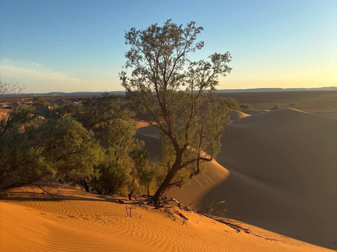 Ames Du Desert-扎古拉必去景点