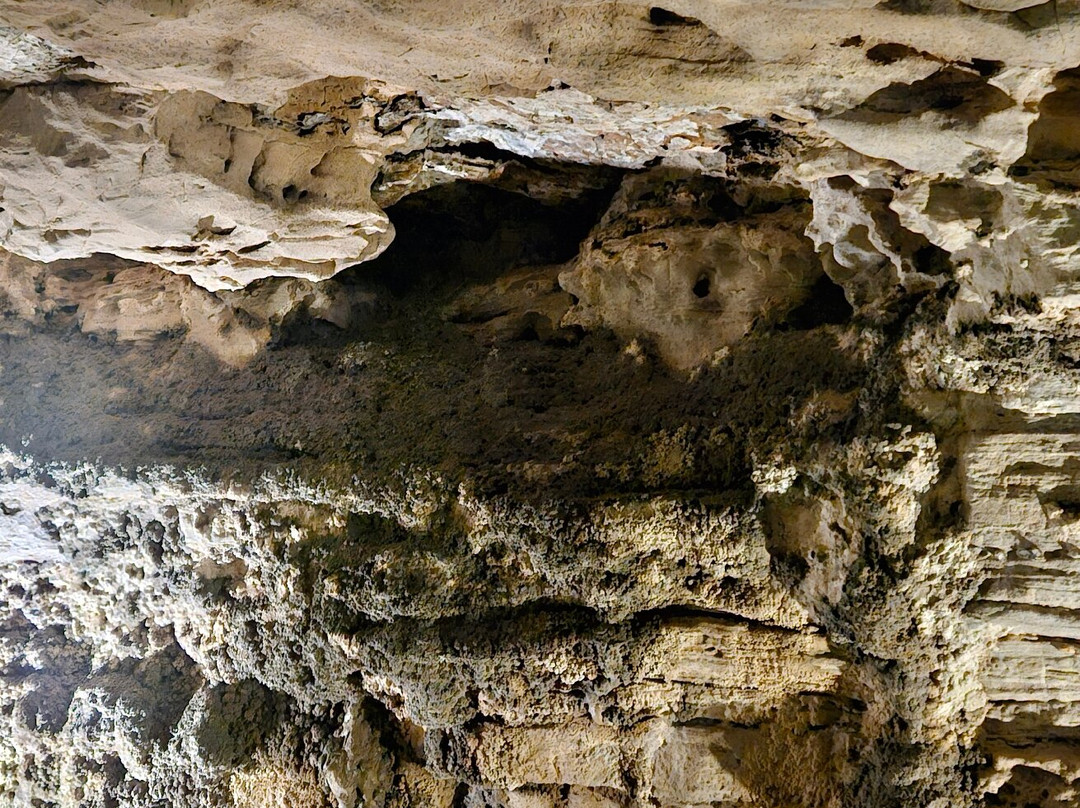 Stark Caverns-Eldon必去景点