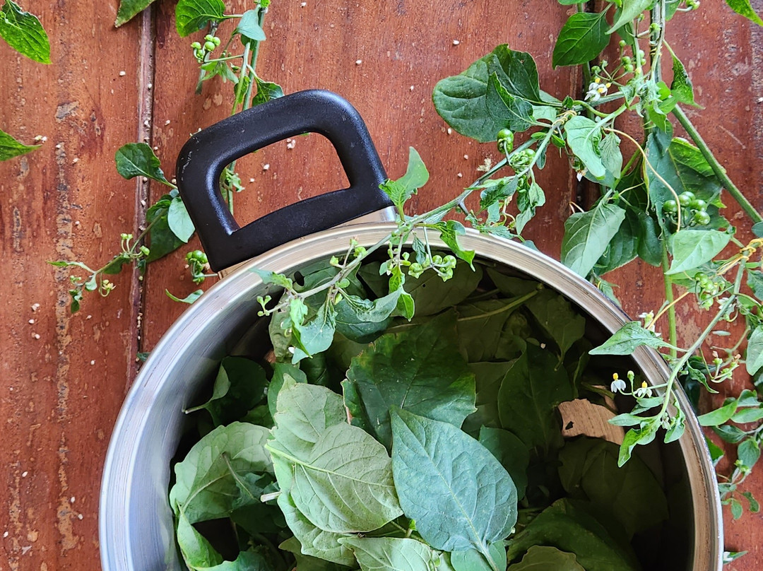 Terganic Farmstay-Bambous Virieux必去景点