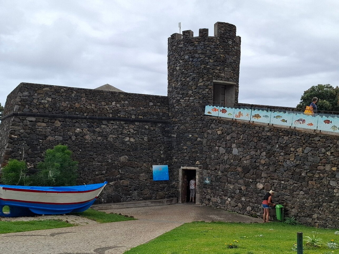 Aquario da Madeira-莫尼什港必去景点