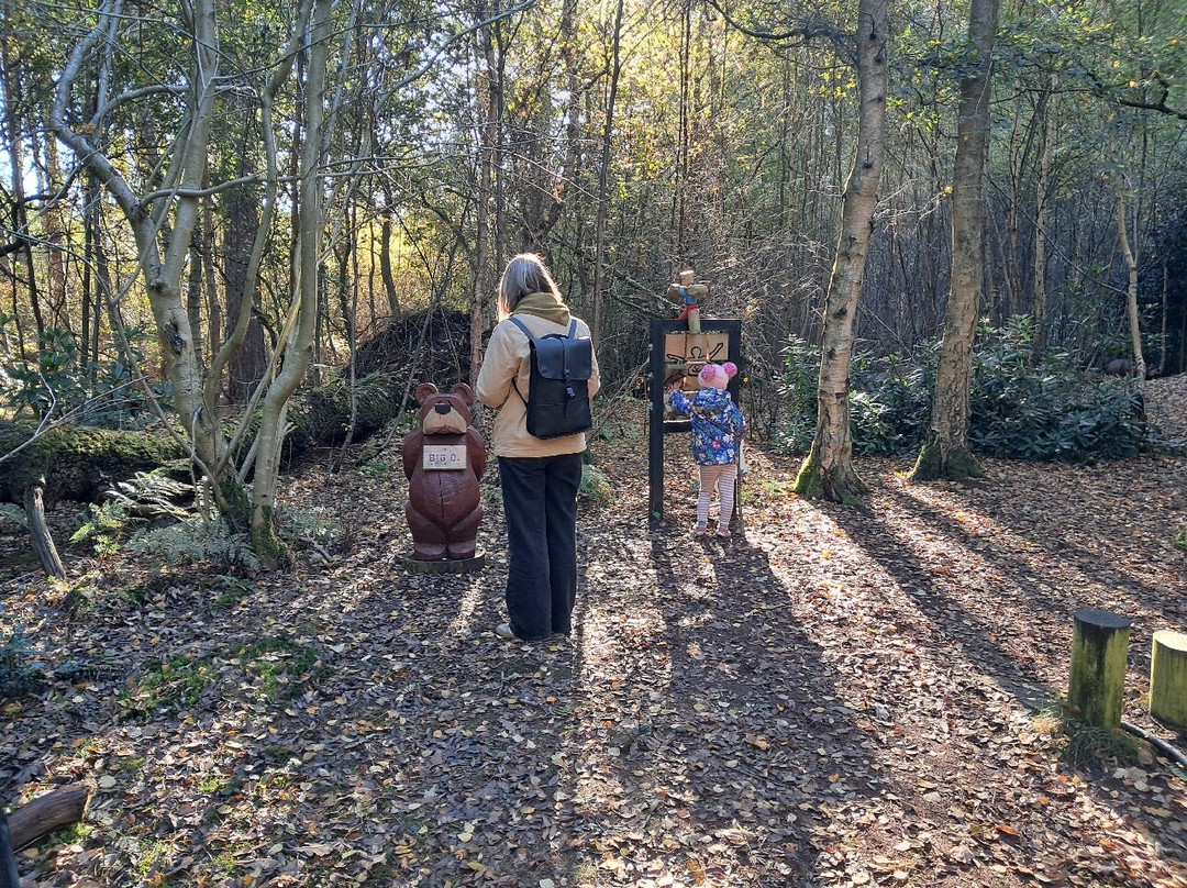 Wild Pines Park-Market Rasen必去景点