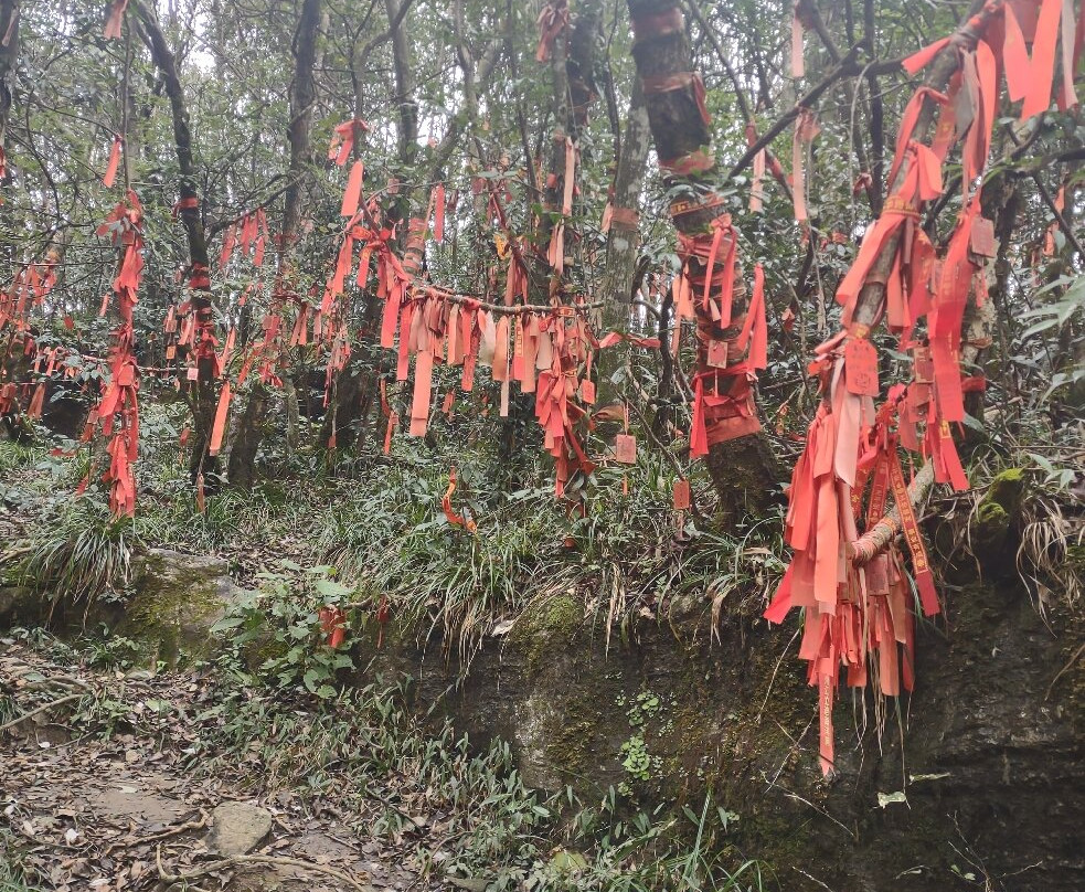 China Highlights-张家界市必去景点