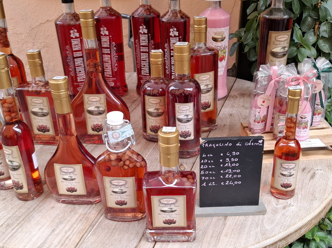 Centro Storico Di Nemi-Nemi必去景点