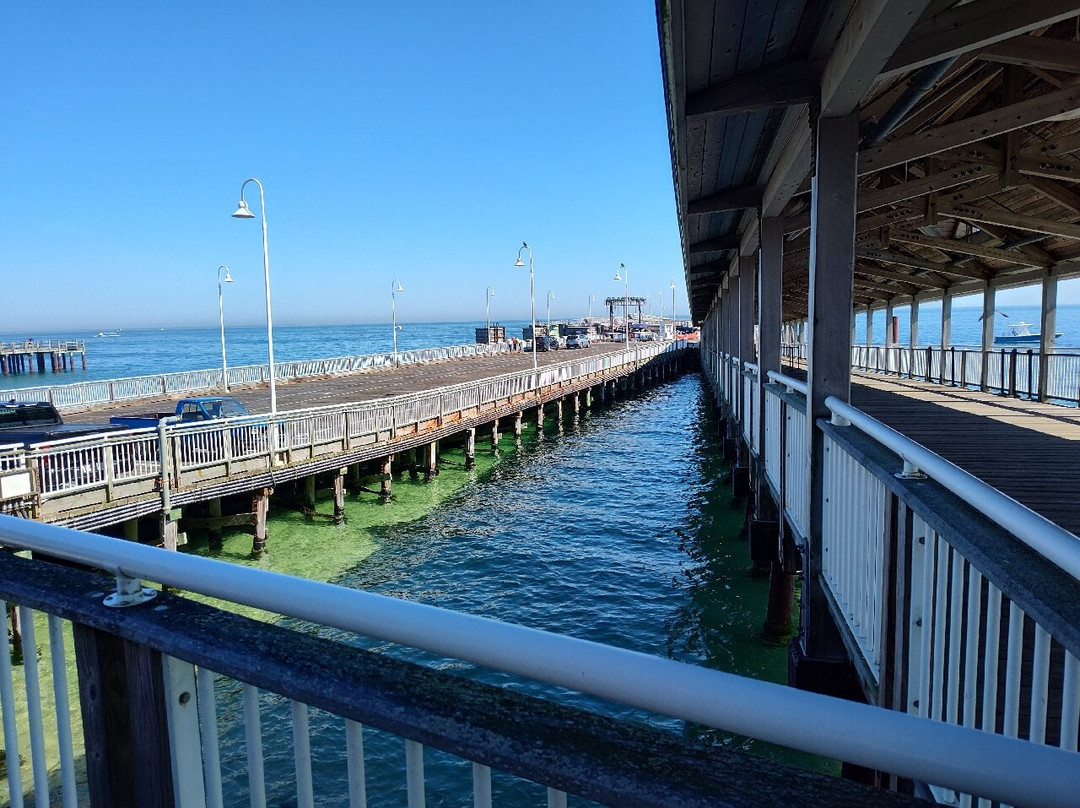 The Steamship Authority-Oak Bluffs必去景点