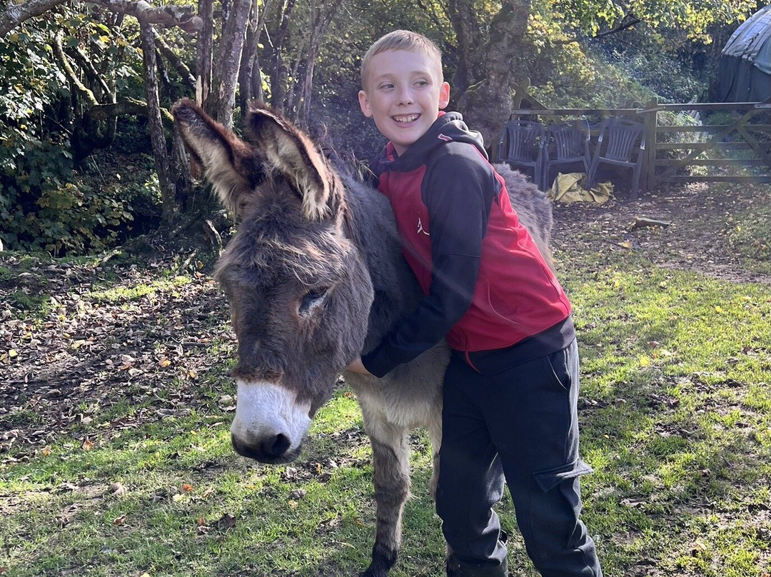 Donkey Walking Adventures-Beaminster必去景点