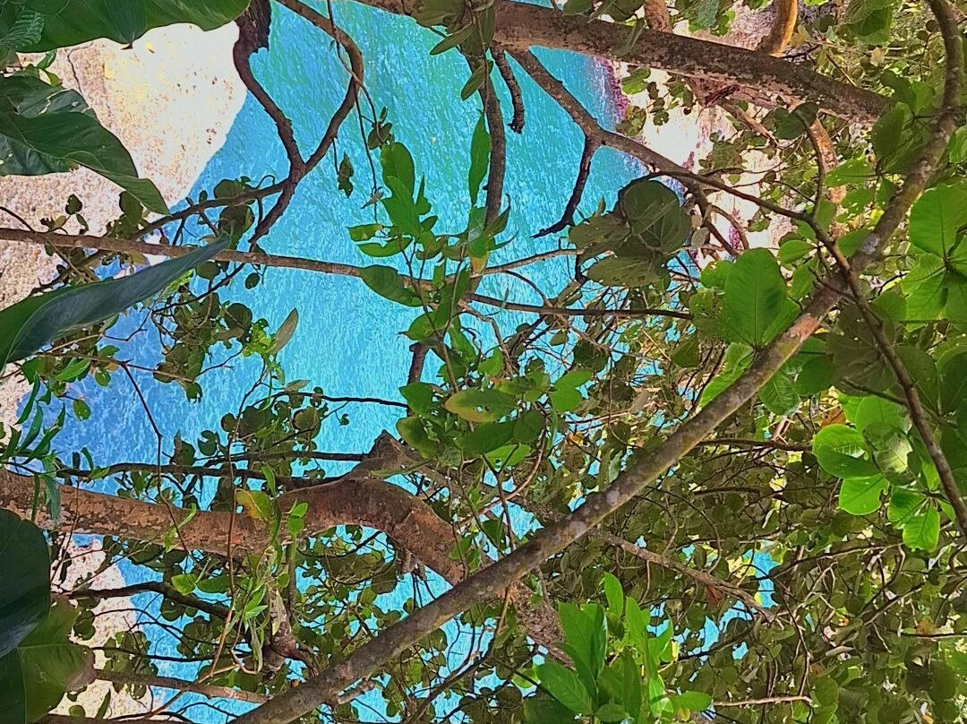 Isla Uvita-利蒙港必去景点