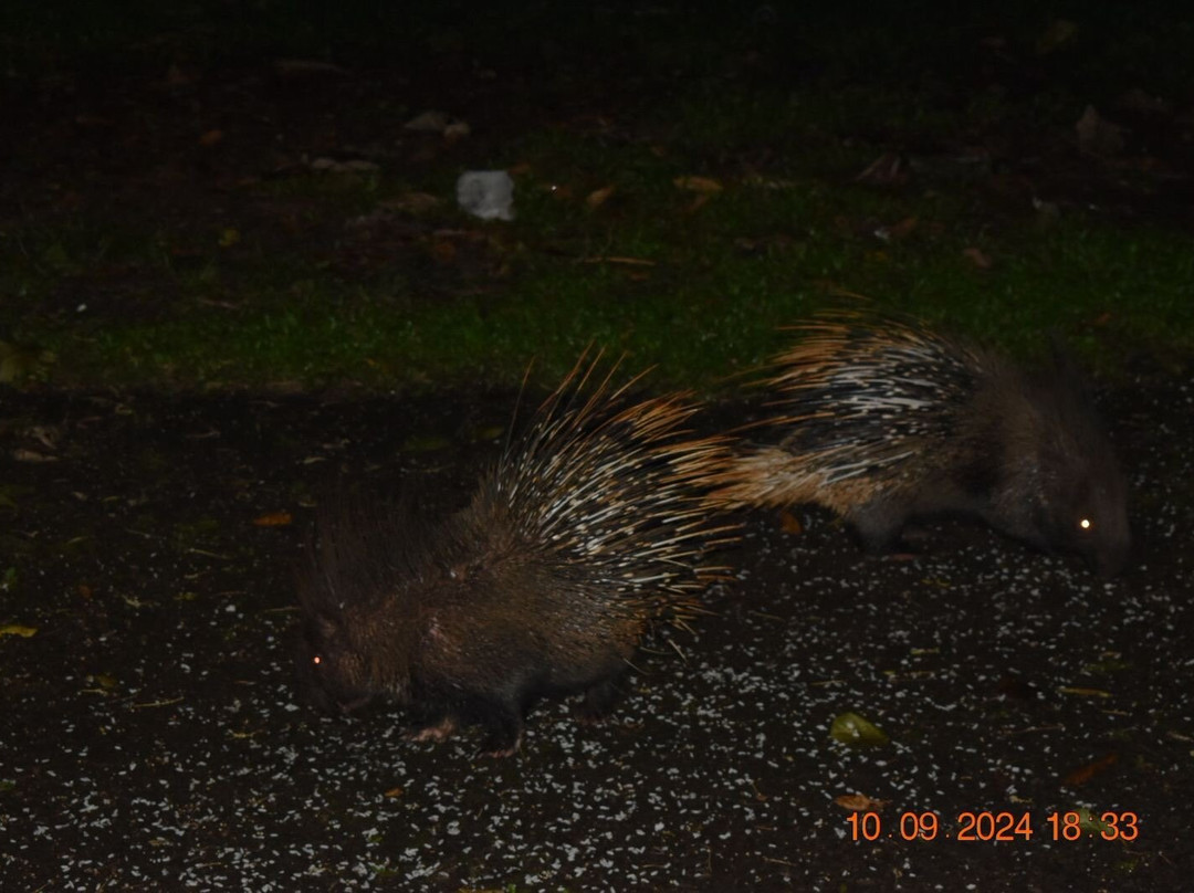 KTDC Periyar House主图