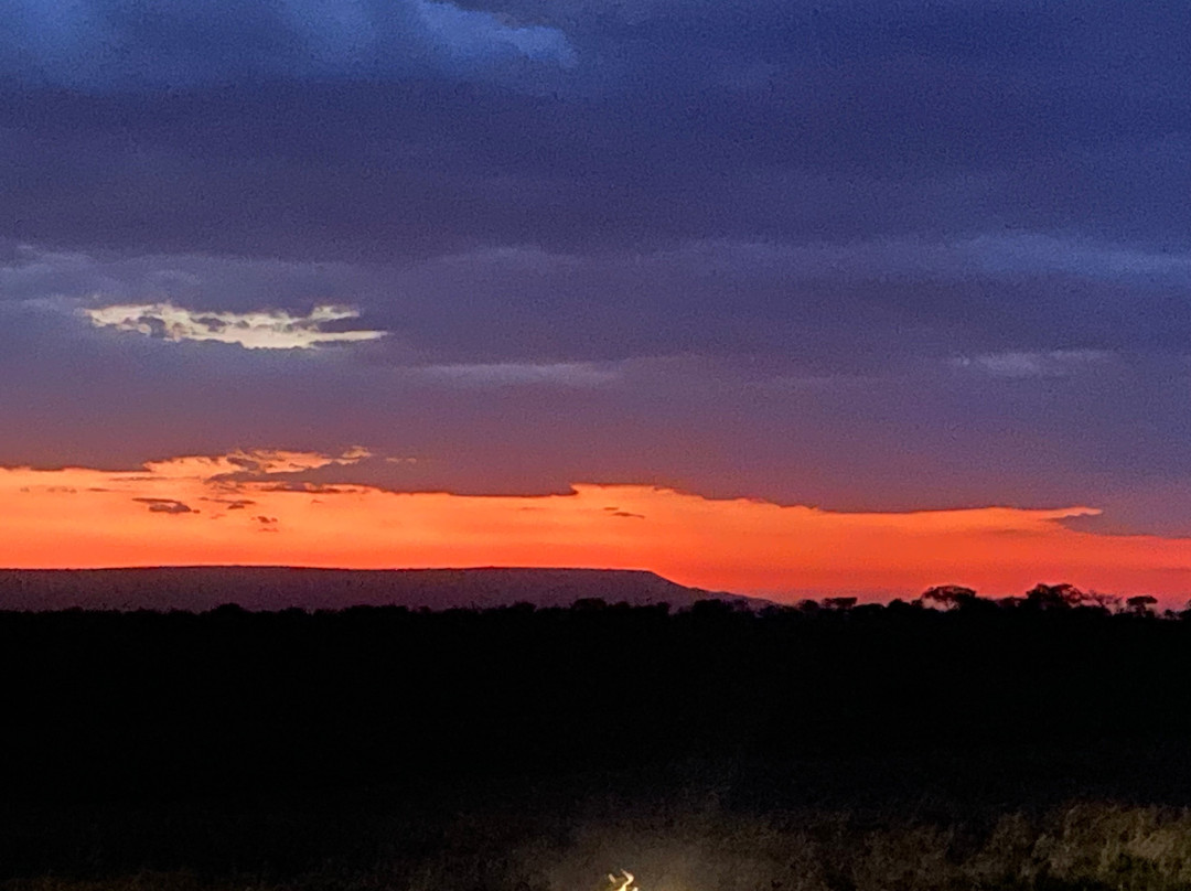 Wildlands Safaris (T) Ltd-塞伦盖蒂国家公园必去景点