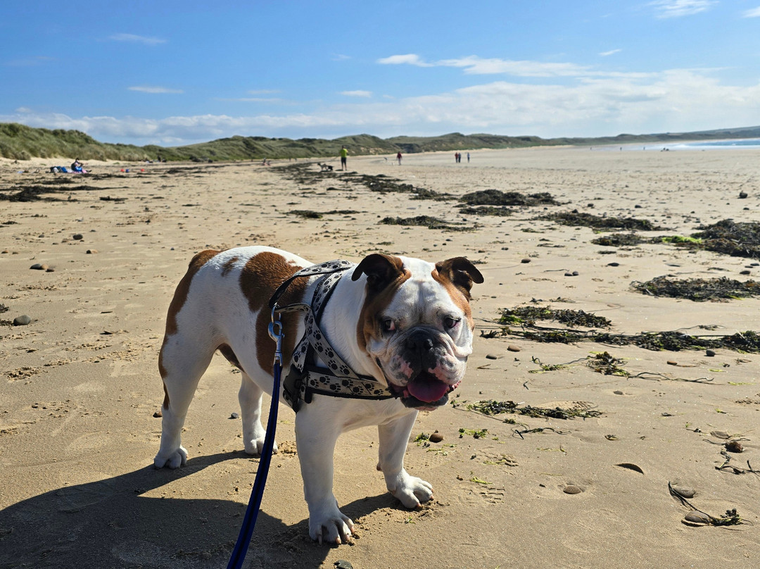 Dunnet Bay-Unapool必去景点