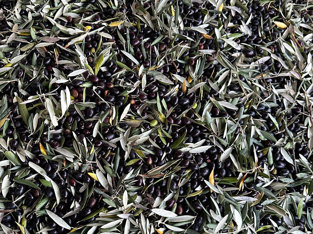 Adamà - Culinary Experience-Atena Lucana必去景点