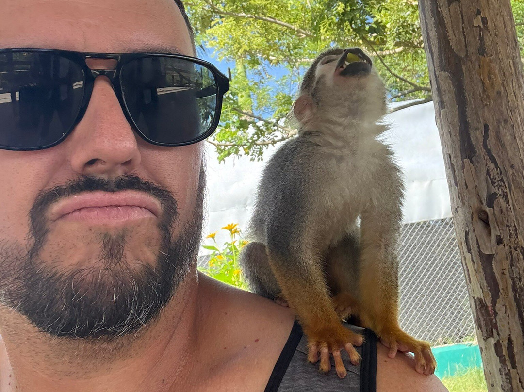 Monkey Home Puerto Plata-普拉塔港必去景点