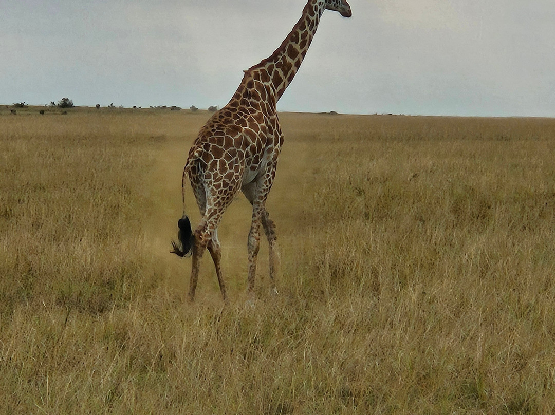 Tanzania Roadside Expeditions-阿鲁沙必去景点