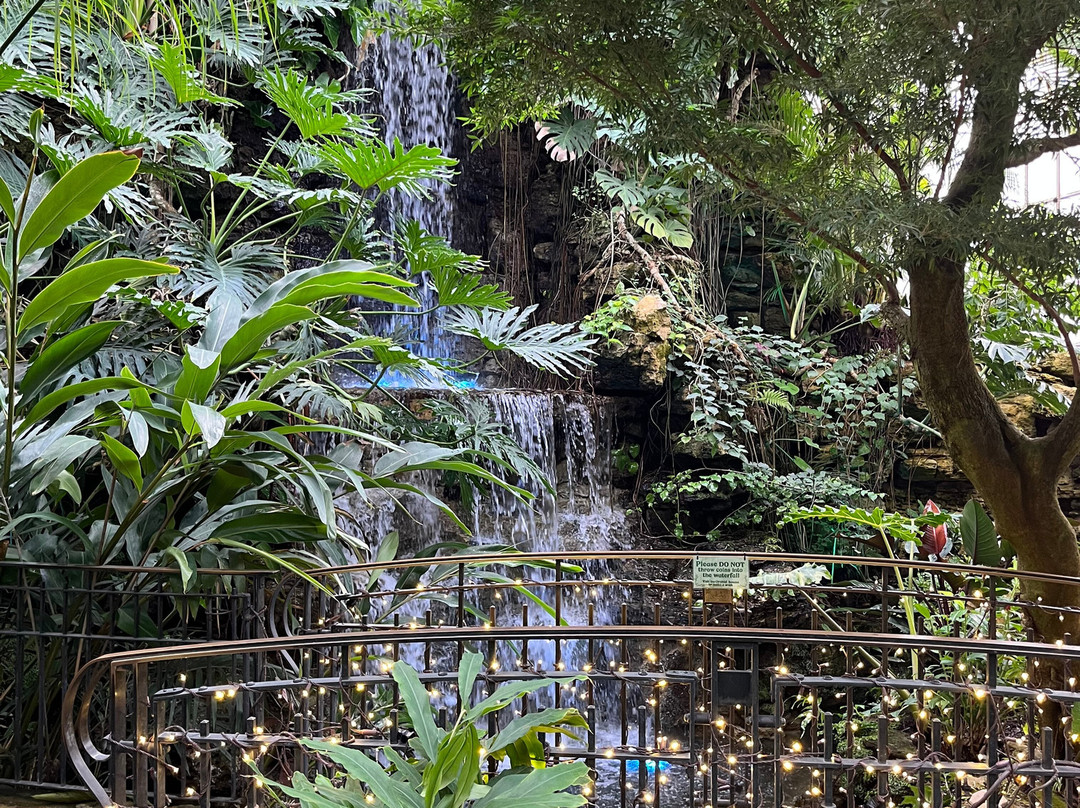Krohn Conservatory-辛辛那提必去景点