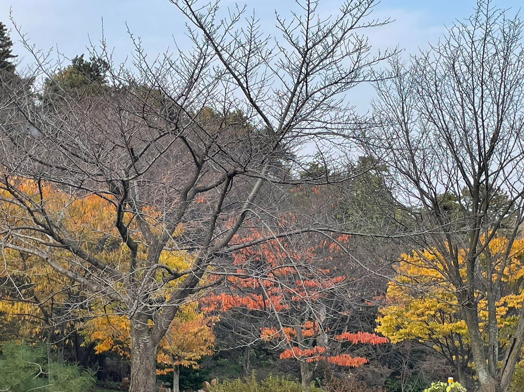 Icheon World Ceramics Center-利川市必去景点