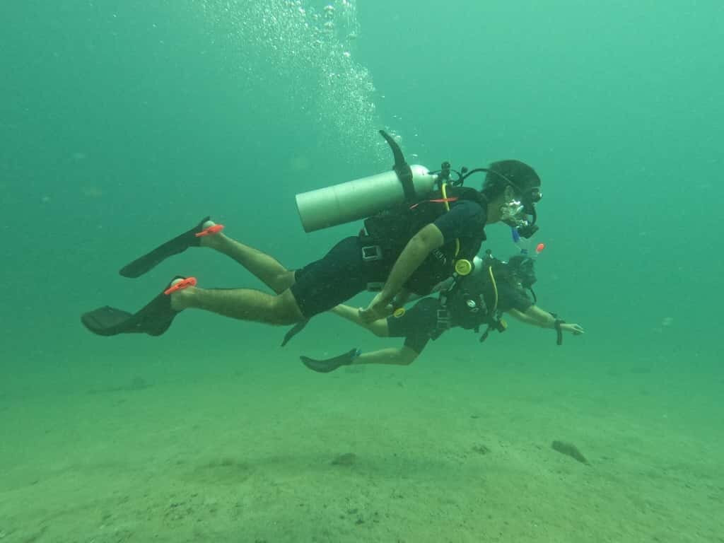 Dive Tribe-Neil Island必去景点