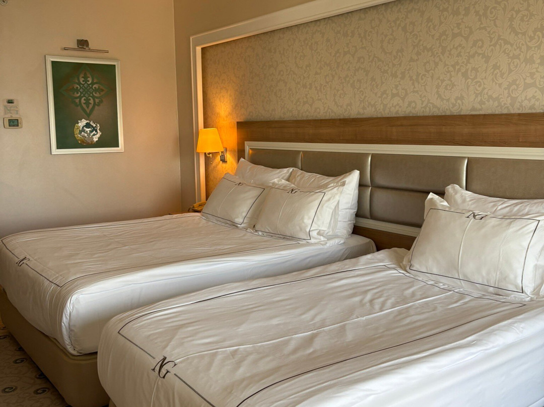 NG Afyon Wellness & Convention主图