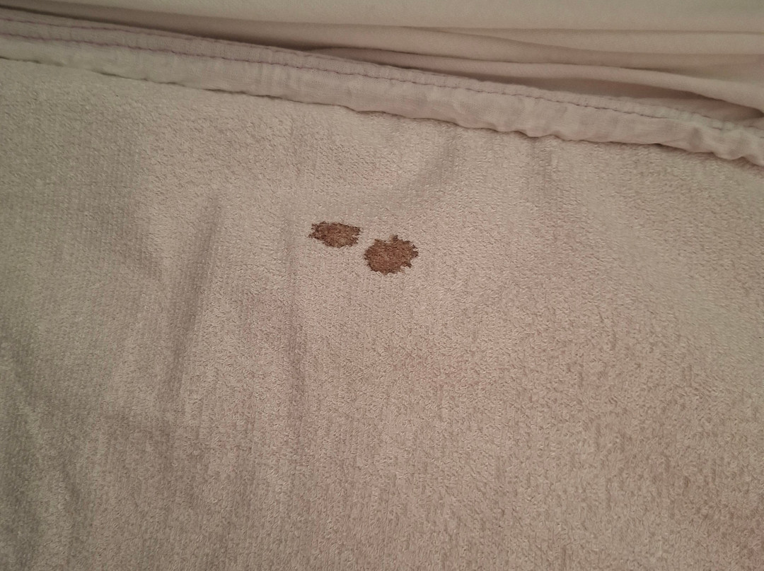 Aiden By Best Western Stadtgut Hotel Steyr主图