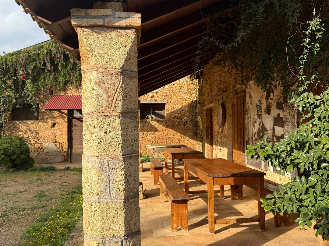 Mercouri Estate-Pyrgos必去景点