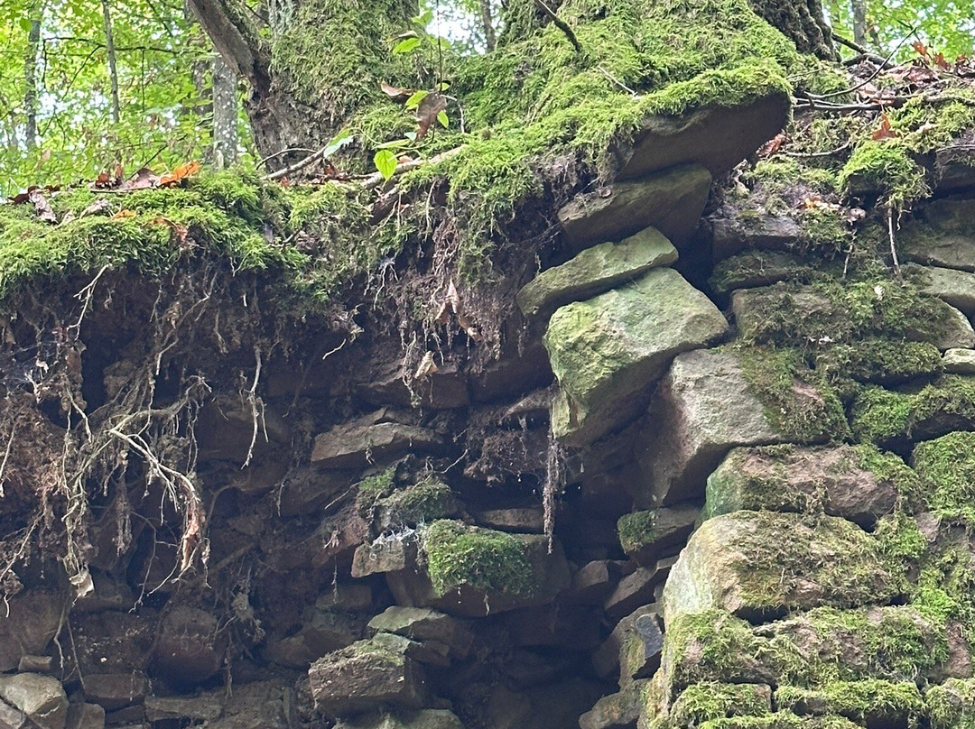 Magische Heimbach - Wanderung