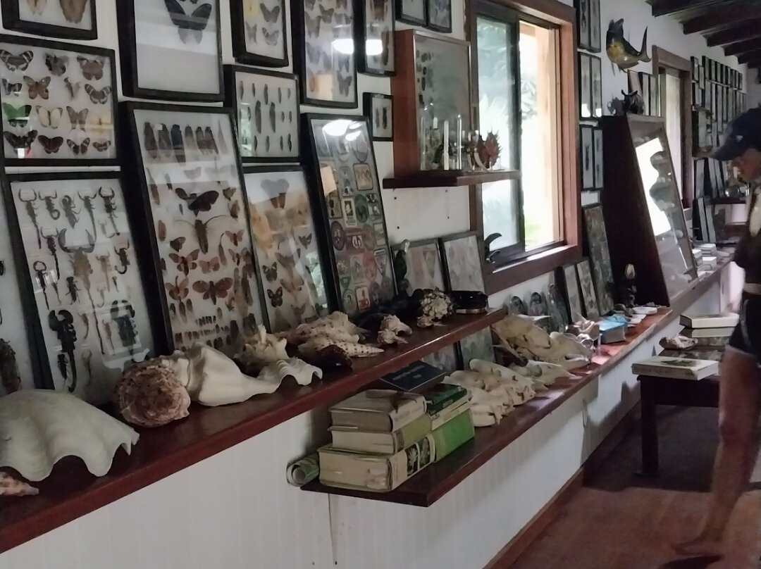 Ave Azul de la Osa-Carate必去景点