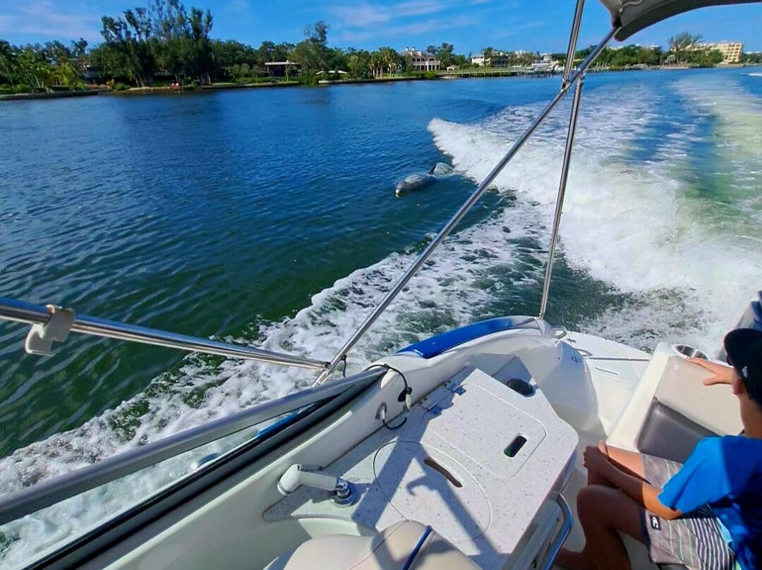 Suncoast Adventure Tours And Charters-Osprey必去景点