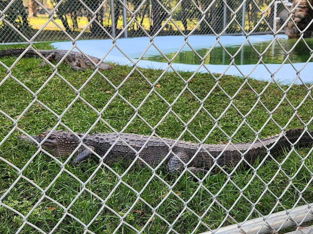 Tom and Jerry's Airboat Rides-Lake Panasoffkee必去景点