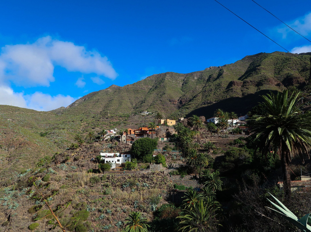 Adventures Tenerife-La Esperanza必去景点