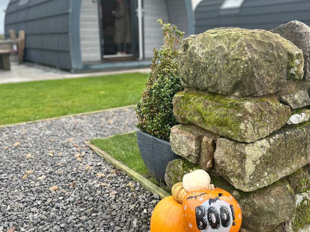 Eden Heights Glamping主图