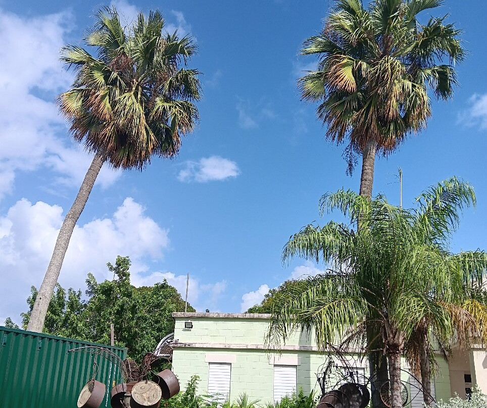 Queen's Park-布里奇顿必去景点