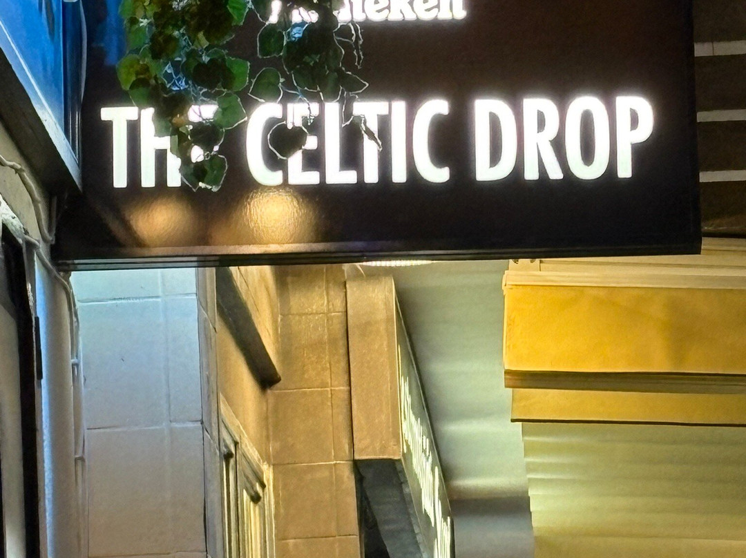 The Celtic Drop Irish Bar-托雷维耶哈必去景点