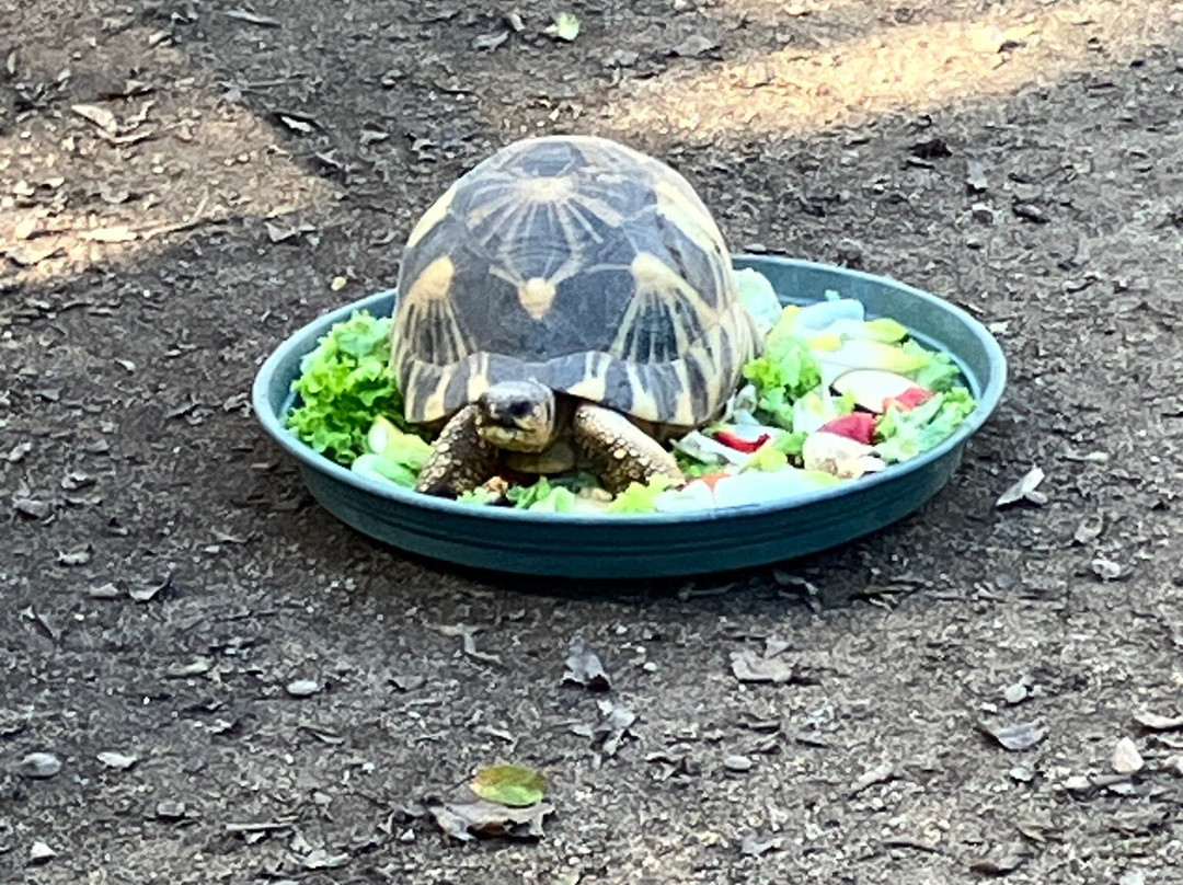 A Cupulatta-Ucciani必去景点