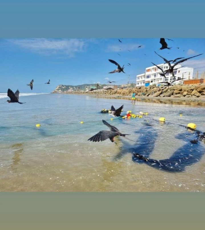 Hotel Ola Bella主图