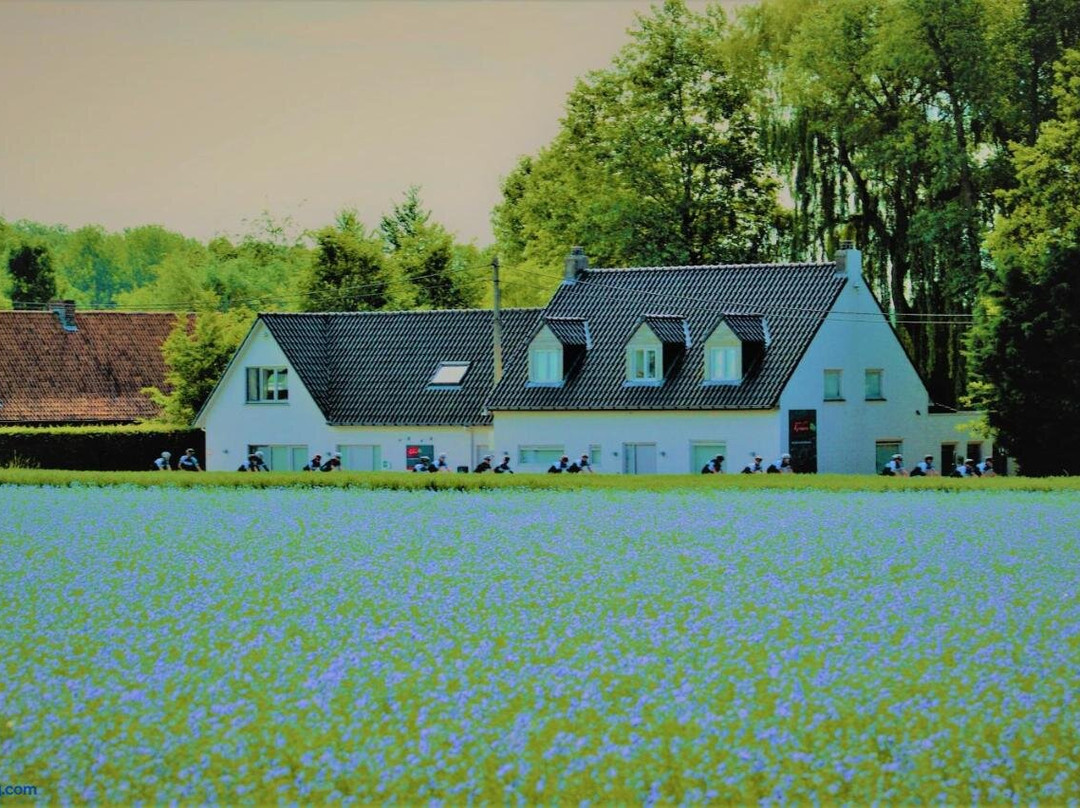 Avelgem酒店住宿-Maison Kerkhove