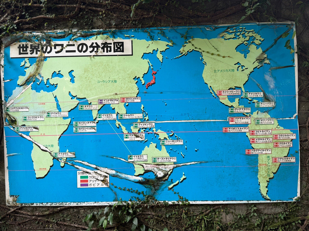 Atagawa Tropical & Alligator Garden-东伊豆町必去景点