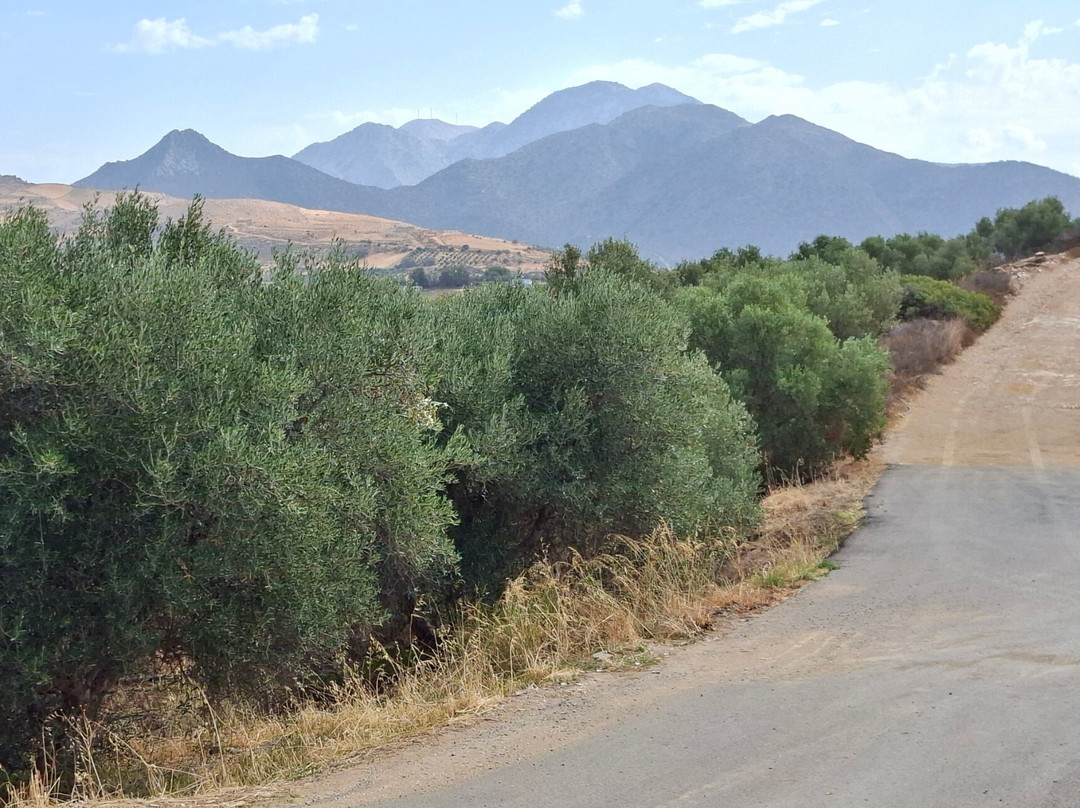 Hotel Iliana Panormos主图