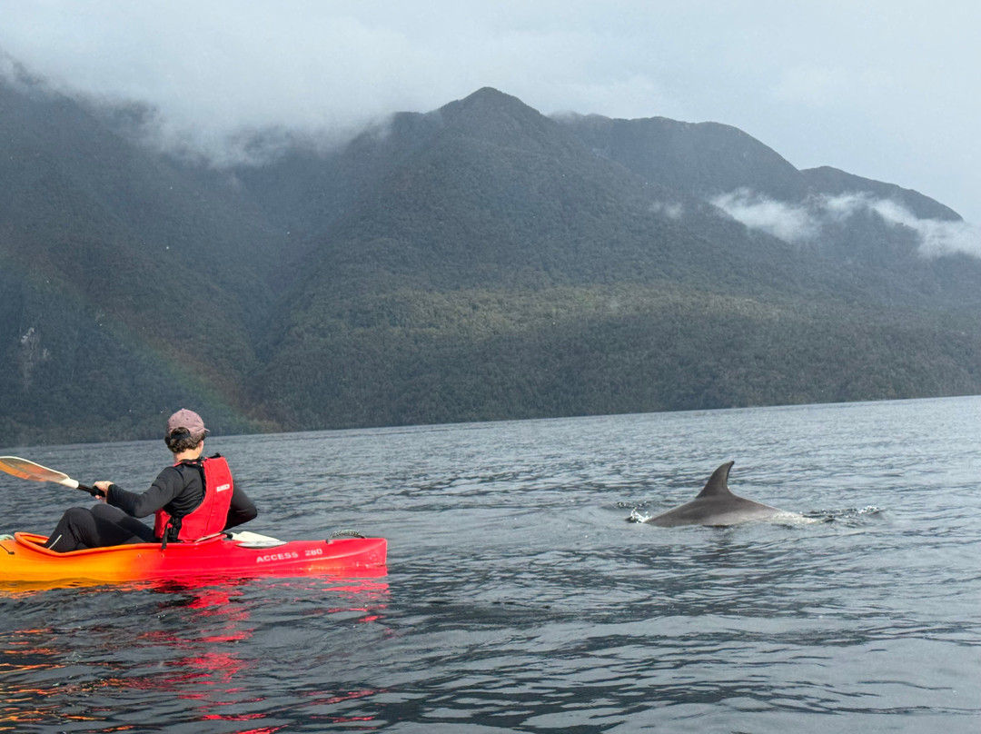 Fiordland Expeditions - Doubtful Sound Overnight Cruises & Multi Day Charters-马纳普里必去景点