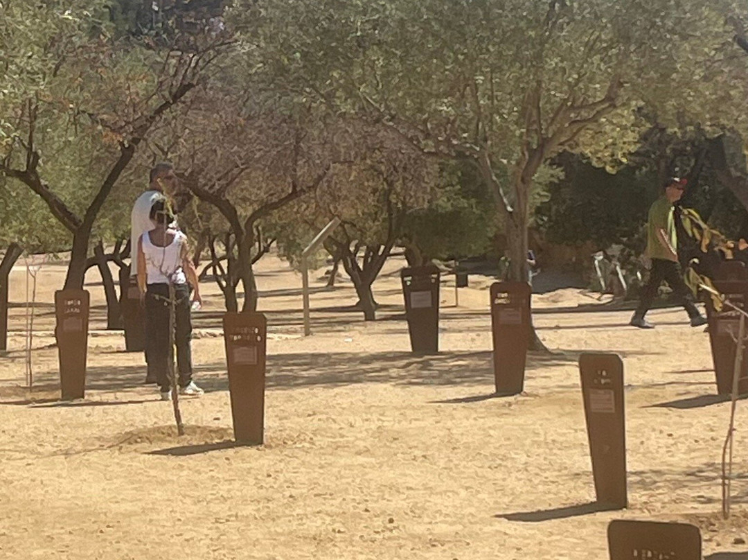 Tempio di Giunone-阿格里真托必去景点