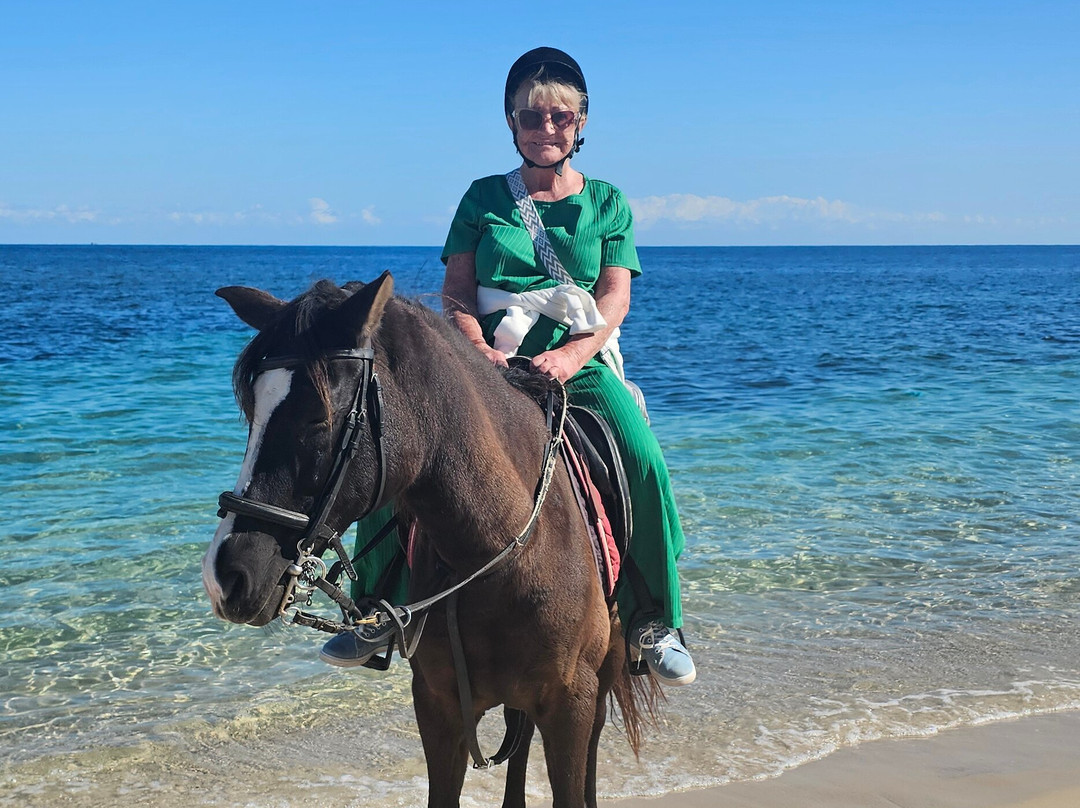Zinebledi Horse Riding Club-苏塞必去景点