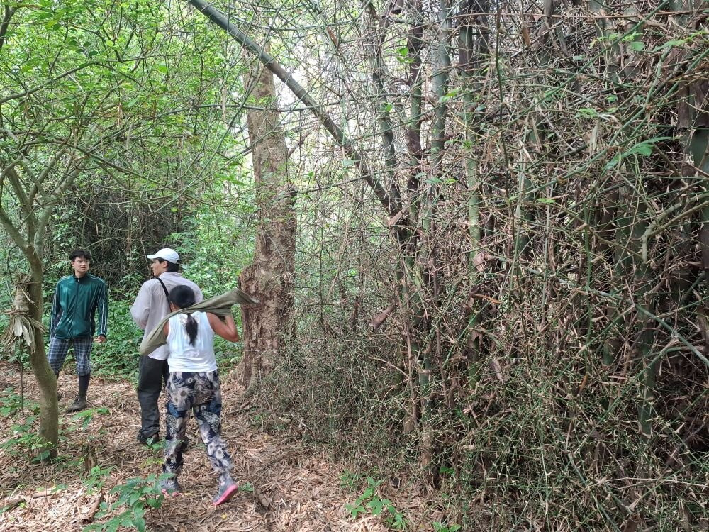 Krakatau Tour-雅加达必去景点