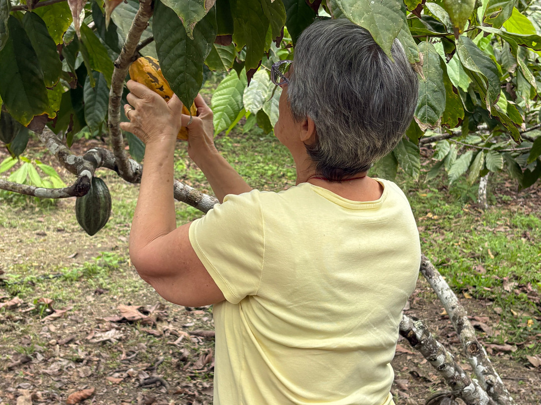Libélula Finca Agroecológica-Manglaralto必去景点