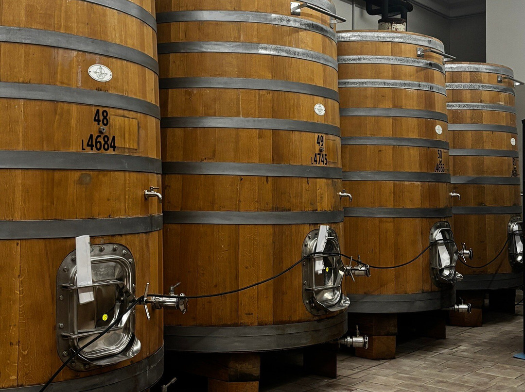 AZIENDA AGRICOLA RIVETTI MASSIMO-Neive必去景点