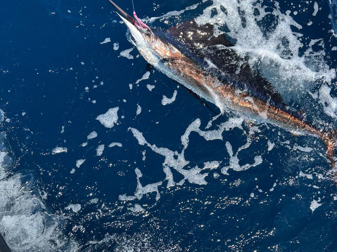 True Blue Sportfishing-St. George's必去景点