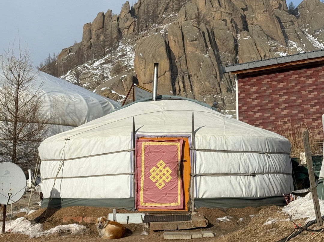 Amicus Travel Mongolia-乌兰巴托必去景点