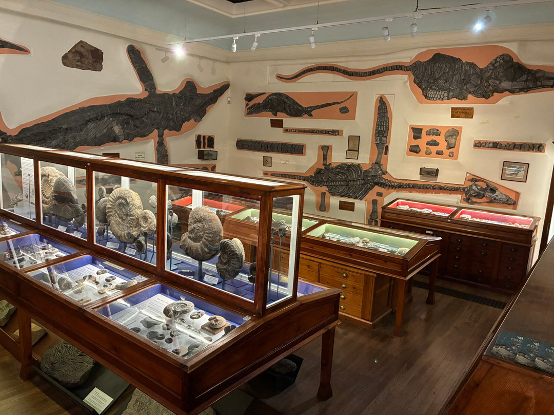 Whitby Museum-惠特比必去景点