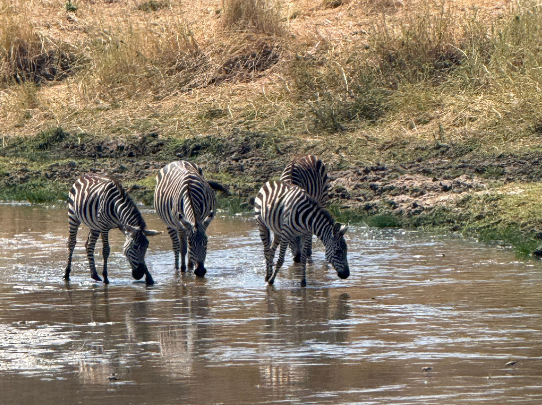Kili Treks Tanzania-莫西必去景点