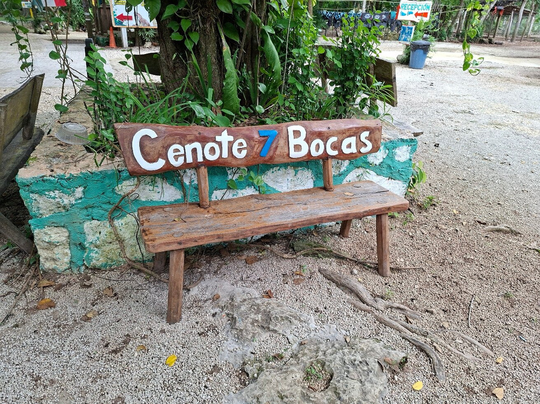 Cenote 7 Bocas-从莫雷洛斯港必去景点