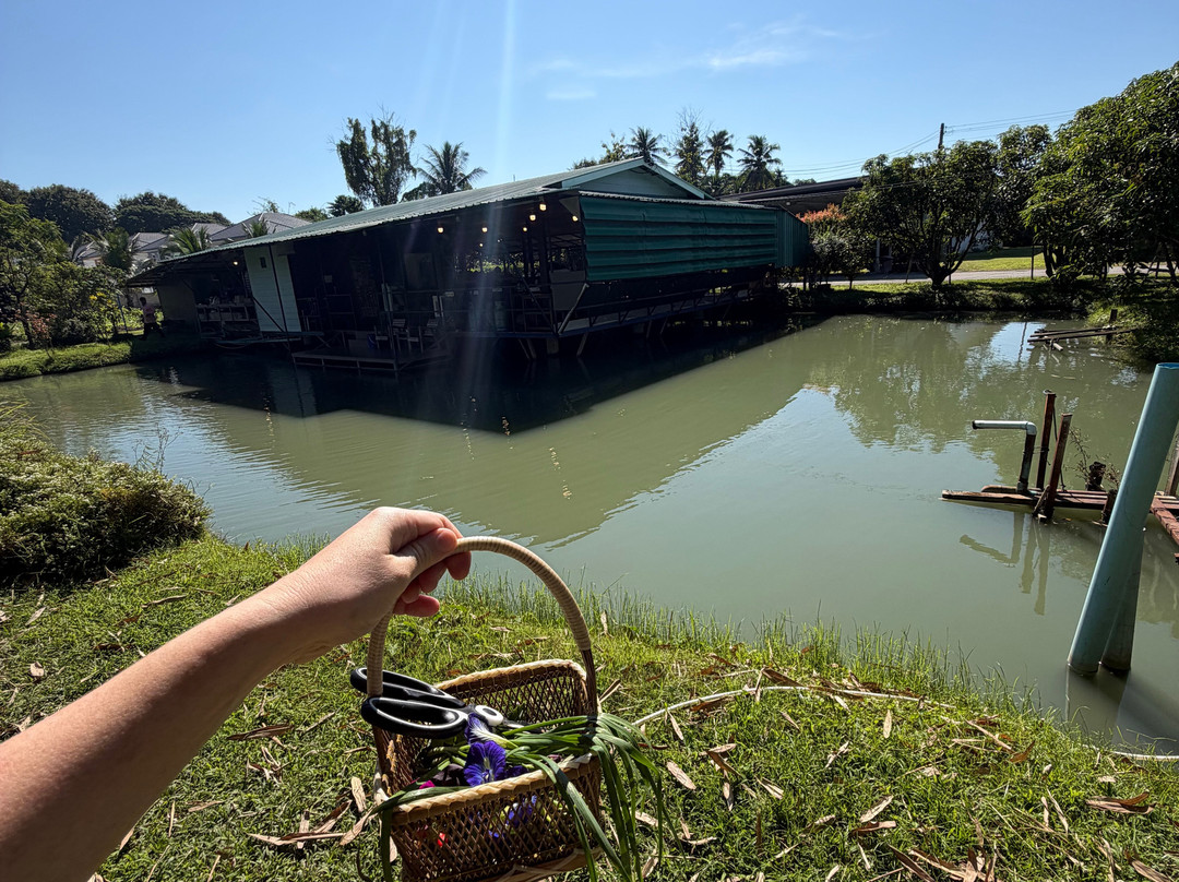 Baan Farm Thai Cooking School-清迈必去景点