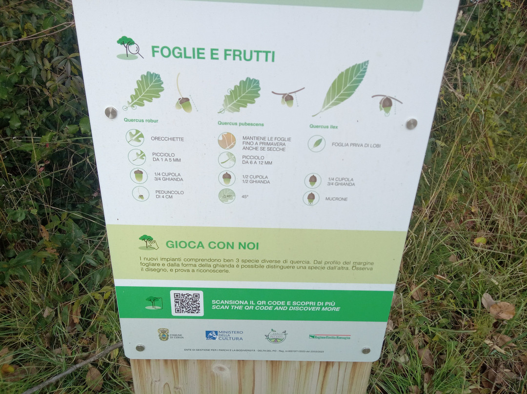 Pineta di Milano Marittima-Milano Marittima必去景点