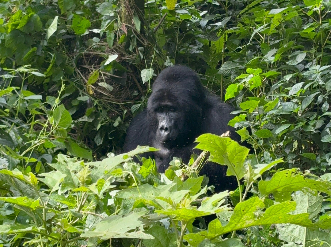 BUGOLI ADVENTURES LIMITED-卡巴莱必去景点