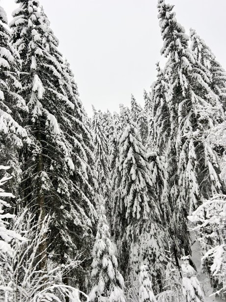 Hotel Die Halde-官方